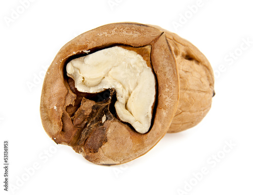 Photo: walnuts walnuts