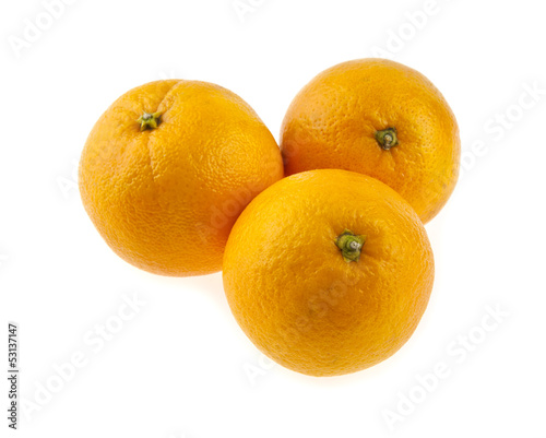 Photo: oranges oranges