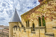 Olite Castle, Navarre
