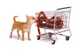 Photo: Welpe mit Einkaufswagen Welpe mit Einkaufswagen
