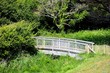 Petit pont