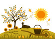 Vector: apple harvest apple harvest