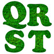 Green grass font