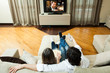 Foto: Couple watching a movie Couple watching a movie