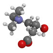 Carnitine food supplement molecule, chemical structure