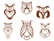Set of cartoon owl birds