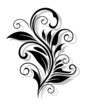 Vector: Beautiful floral pattern Beautiful floral pattern