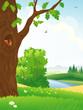 Summer forest scene