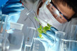 Scientist examining samples with plants