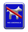 No animals
