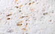 Pumice stone background