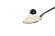 Whipped cream with a blueberry