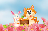 A bunny holding a carrot and a cat holding an empty signboard