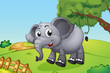 Vektor: An elephant jumping inside the wooden fence An elephant jumping inside the wooden fence