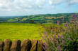 English Countryside
