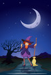 Vector: A witch at the road in the middle of the night A witch at the road in the middle of the night