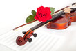 viola