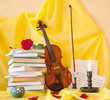 Violin