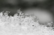 Photo: Snowflake in white snow Snowflake in white snow