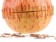 Sliced apple halves