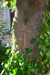 Kreuz