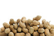 Peanut