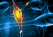 Illustration: Illustration of a nerve cell Illustration of a nerve cell