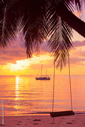 Photo: Rope swing on tropical palm during sunset Rope swing on tropical palm during sunset