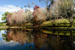 Photo: Autumn Season Autumn Season