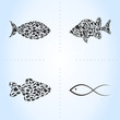 Fish an icon