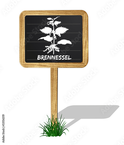 Vector: Brennessel Heilkräuter Vektor Brennessel Heilkräuter Vektor