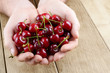 Handful of cherries