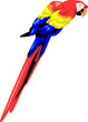 scarlet macaw