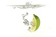 LImette im Wasser