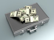 Briefcase with Cash.