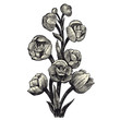 Vector: Orchid (Peristeria Elata) Orchid (Peristeria Elata)