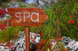 canvas print picture - spa