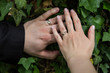wedding rings on the hands of the newlyweds