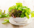 Lettuce salad