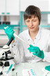 Scientist works in the laboratory