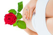Babybauch neunter Monat mit Rose isoliert
