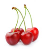 Black cherries close up