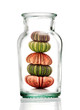 Photo: glass jar with sea urchins inside glass jar with sea urchins inside