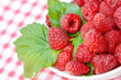 Organic raspberry from Serbia