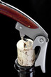 Korkenzieher in Weinflasche - Corkscrew in wine bottle