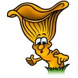 Yellow Mushroom