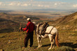 Horse reached a peak