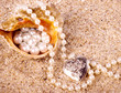 Foto: Beautiful exotic shell and pearls Beautiful exotic shell and pearls