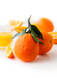 Photo: oranges oranges