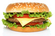 Big hamburger on white background .